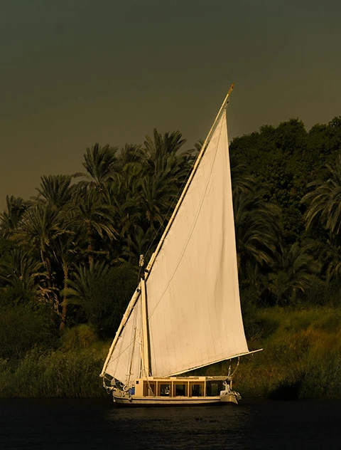 Cuidamos cada traslado y cada visita